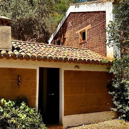 Casas Da Cerca Konuk evi Troviscais Dış mekan fotoğraf
