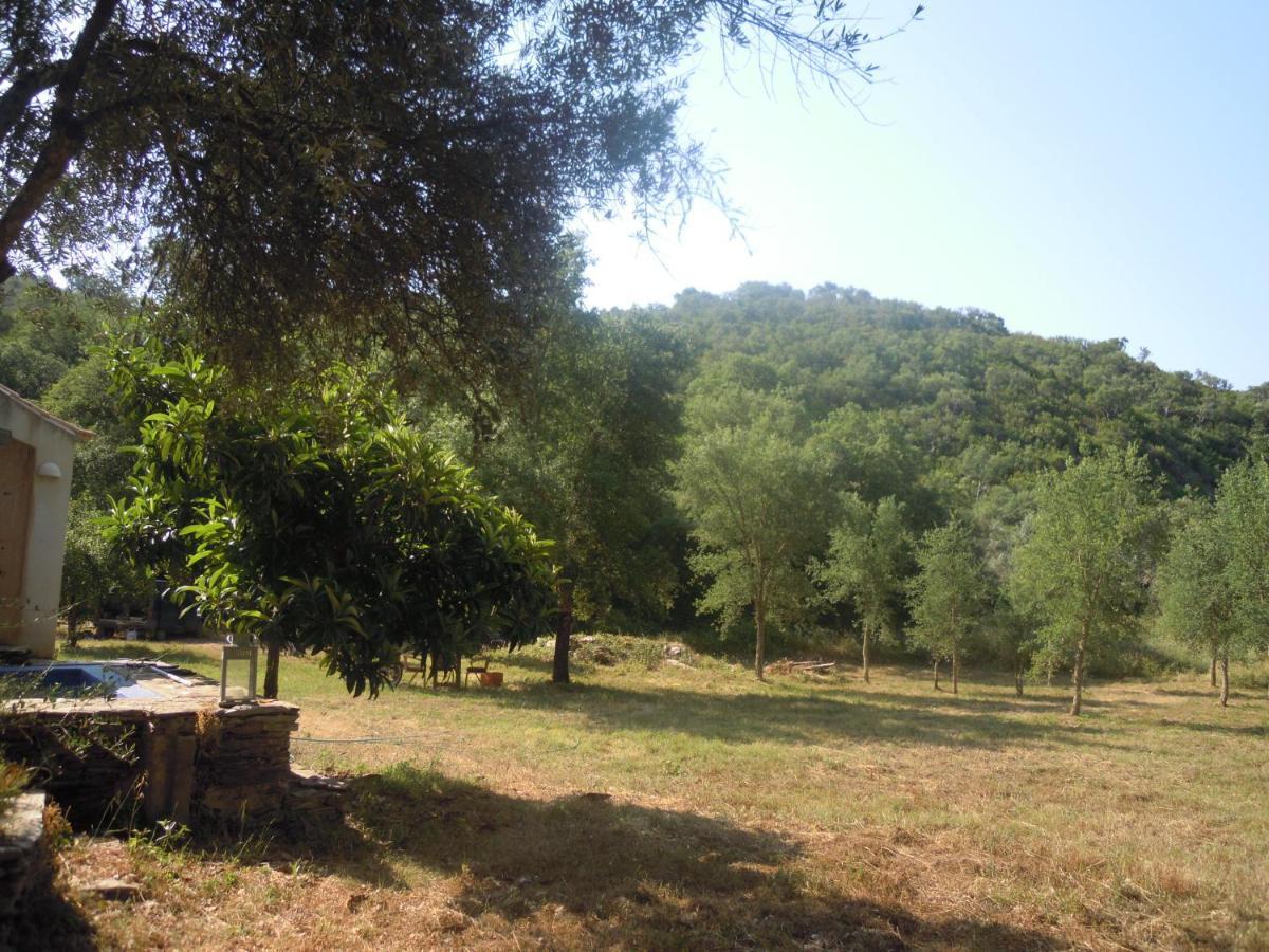 Casas Da Cerca Konuk evi Troviscais Dış mekan fotoğraf