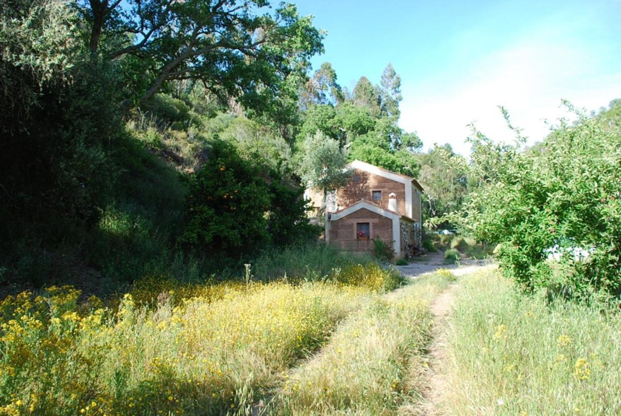 Casas Da Cerca Konuk evi Troviscais Dış mekan fotoğraf