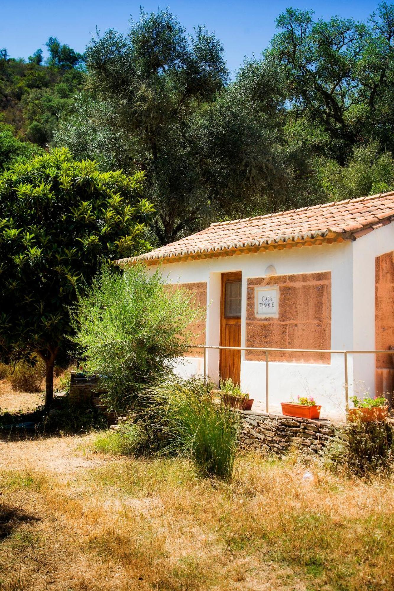 Casas Da Cerca Konuk evi Troviscais Dış mekan fotoğraf
