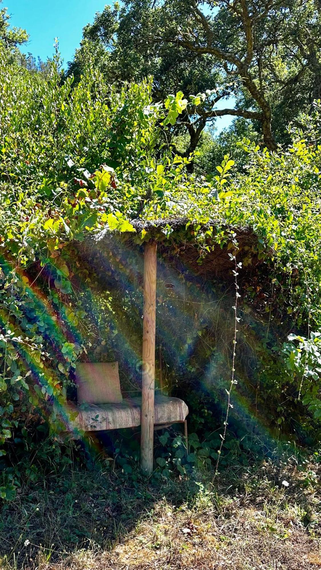 Casas Da Cerca Konuk evi Troviscais Dış mekan fotoğraf