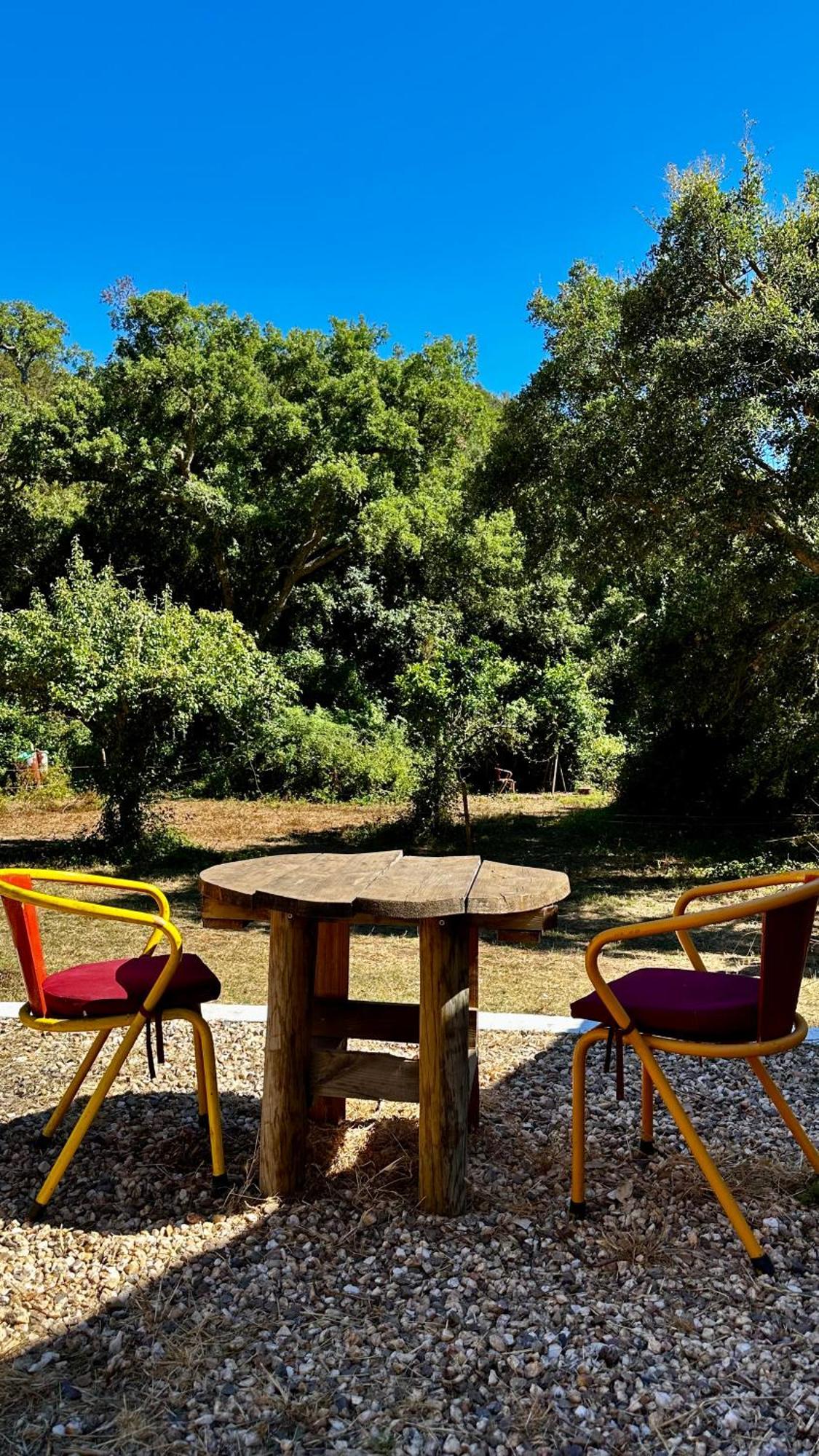 Casas Da Cerca Konuk evi Troviscais Dış mekan fotoğraf