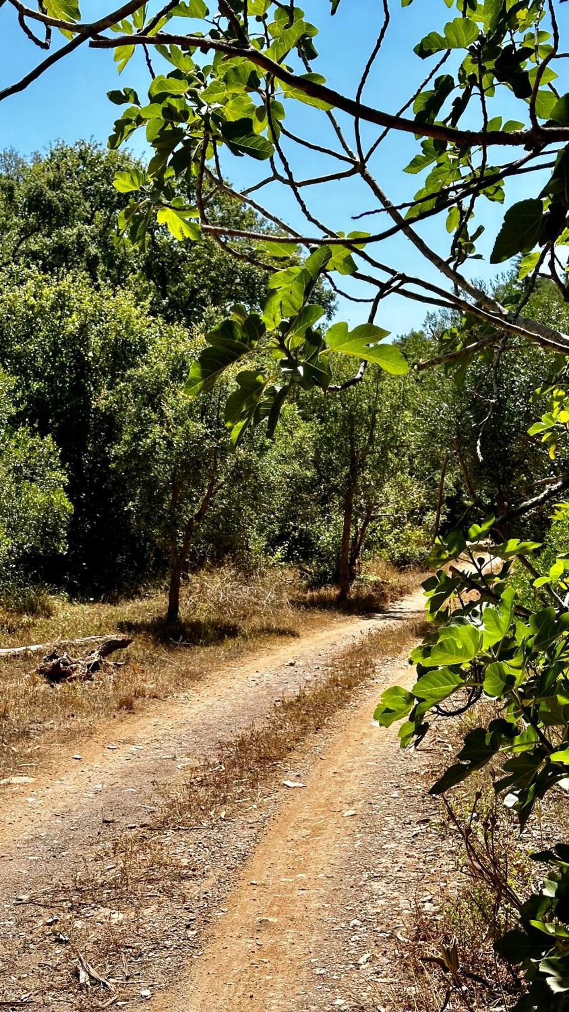 Casas Da Cerca Konuk evi Troviscais Dış mekan fotoğraf